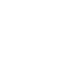 cash icon