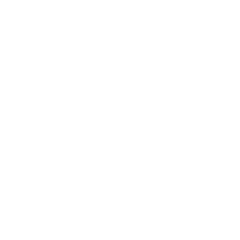 shampoo and comb icon