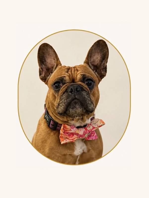 petunia